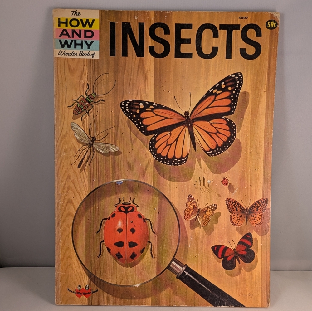 Vintage The How And Why Wonder Book of Insects